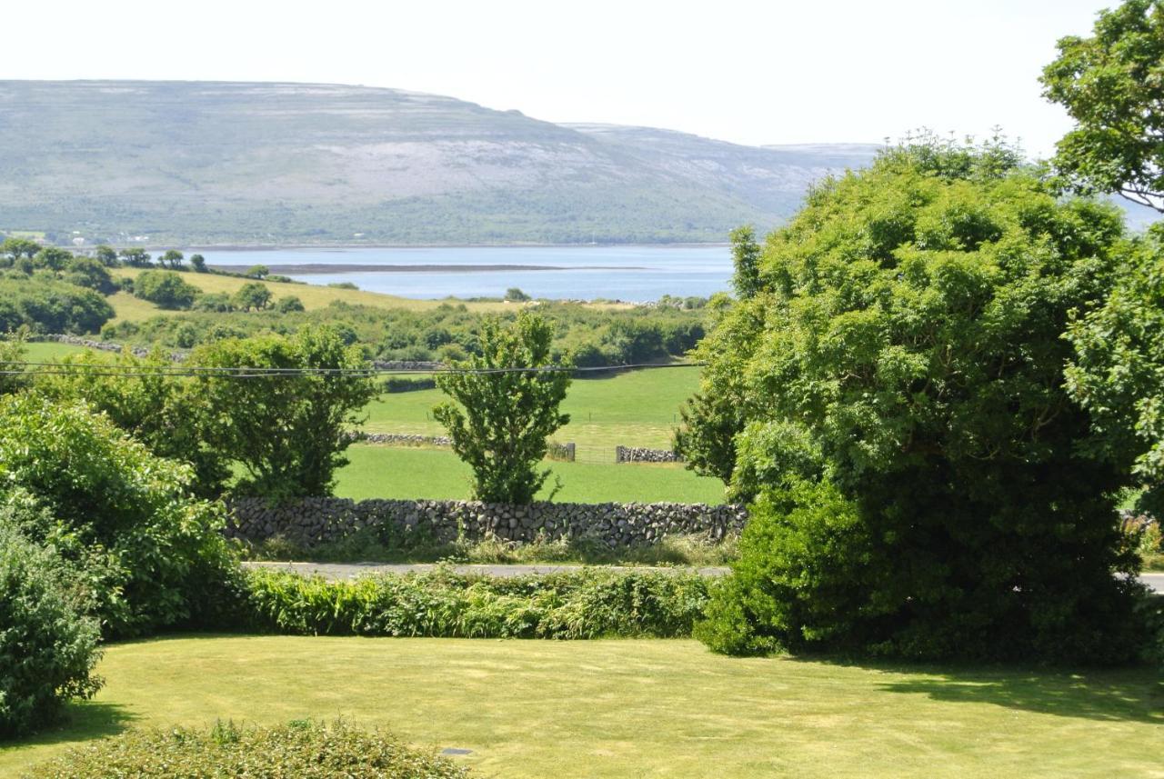 باليفاوغان Drumcreehy Country House B&B المظهر الخارجي الصورة